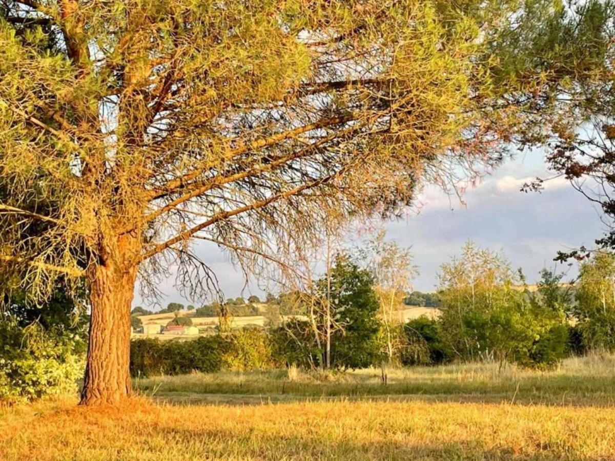 Le Parc De Gouts Villa Aiguillon ภายนอก รูปภาพ